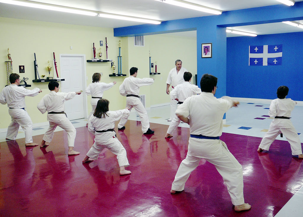 Fleming Karate Club in session